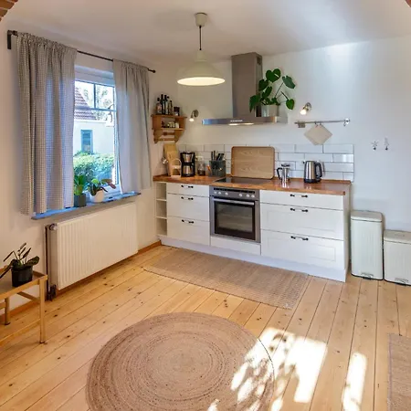 Deichhaus- Gartenwohnung Appartement Neßmeraltendeich